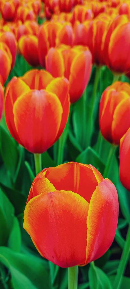 Фотография автора Таисия