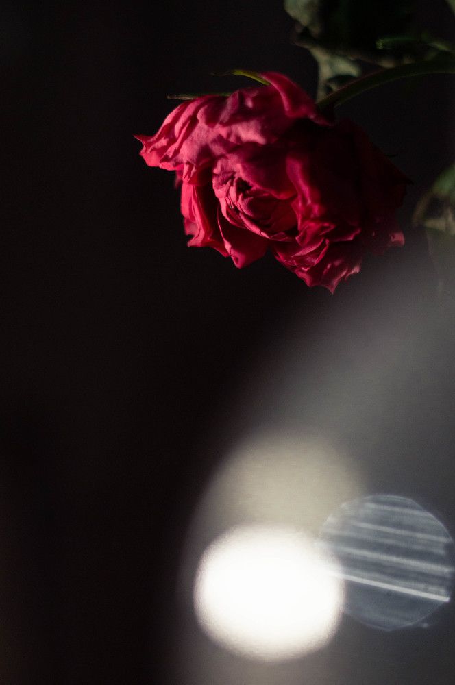 Фотография автора Оксана Вальянина