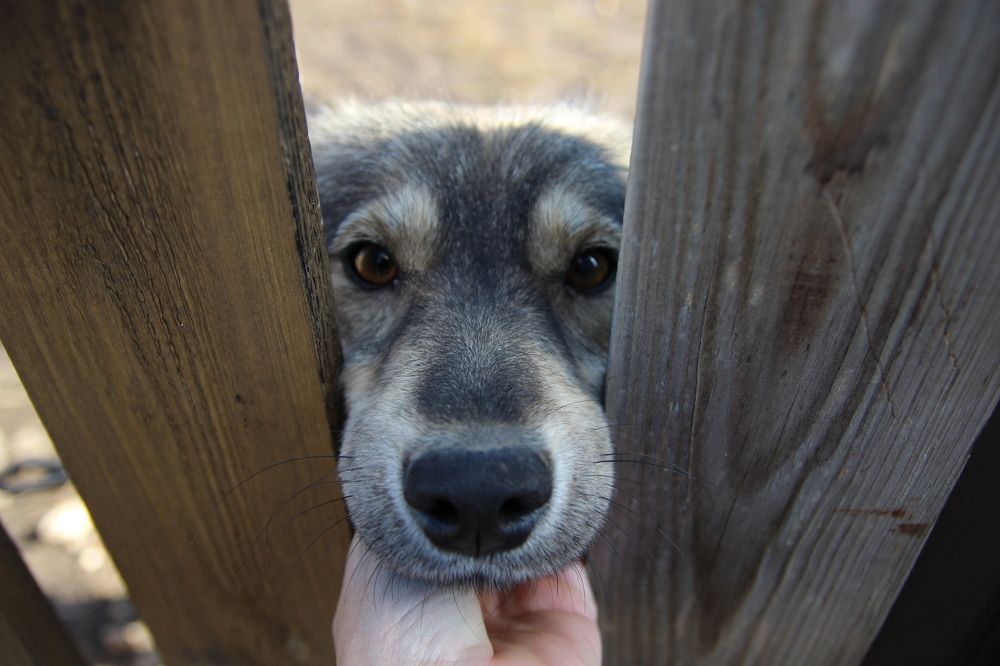 Photograph by Наталья Рыкова