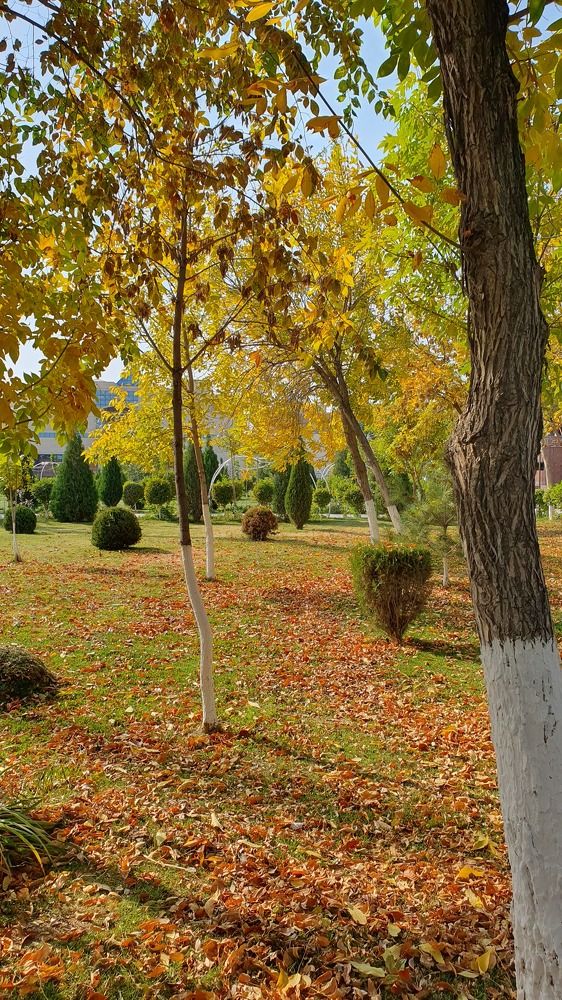 Photograph by Эдик Нуран