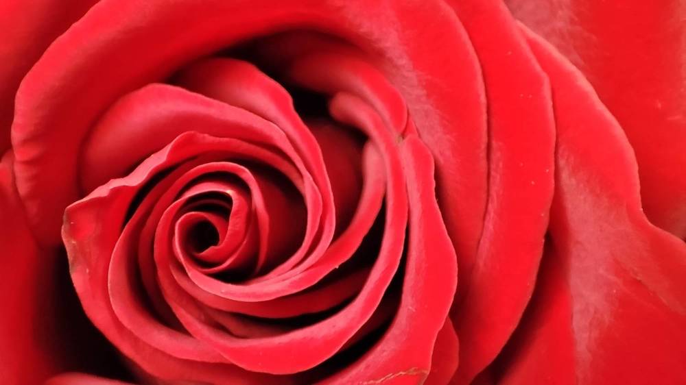 Photograph by Калюнова Наталья