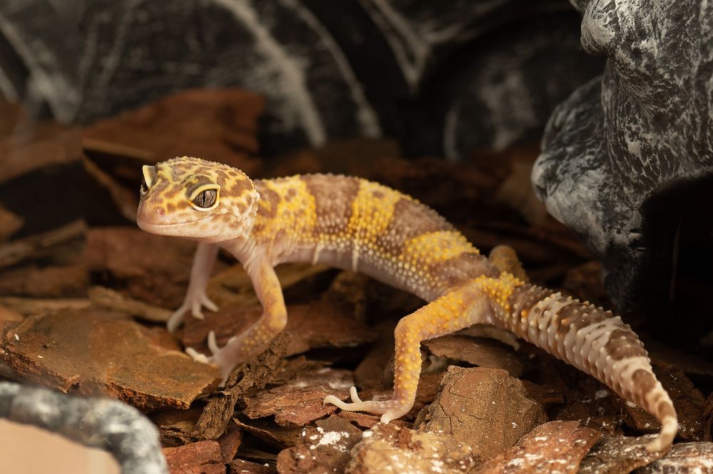 Photograph by Екатерина Каменцева