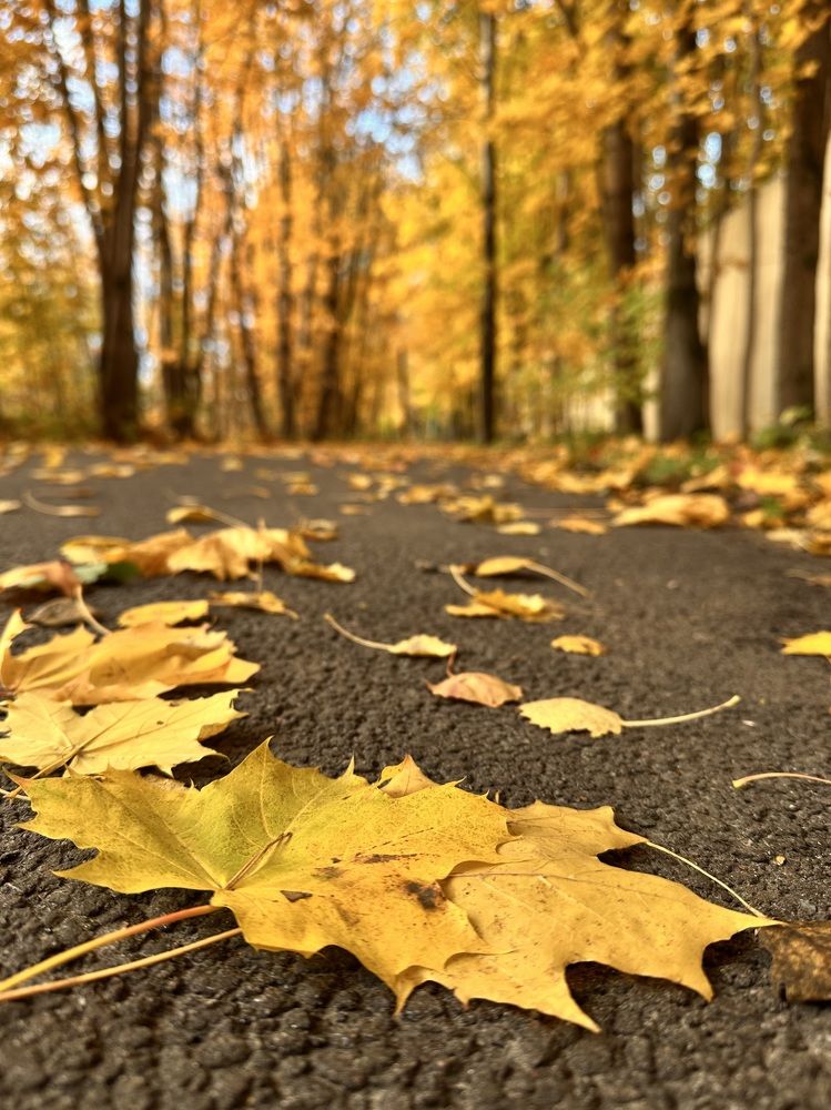 Photograph by Леонид Голубков