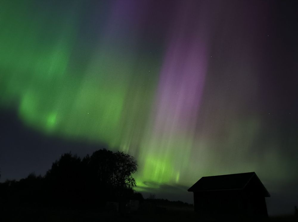 Фотография автора Олеся Непомнящих