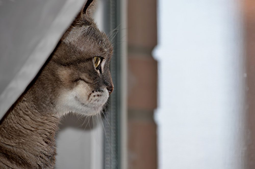 Photograph by Алексей Volg