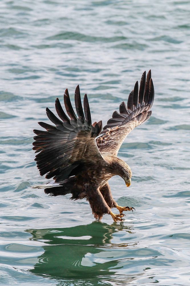 Photograph by Мария Маркина