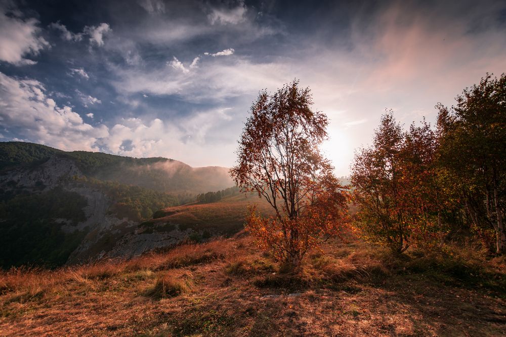 Photograph by Мария