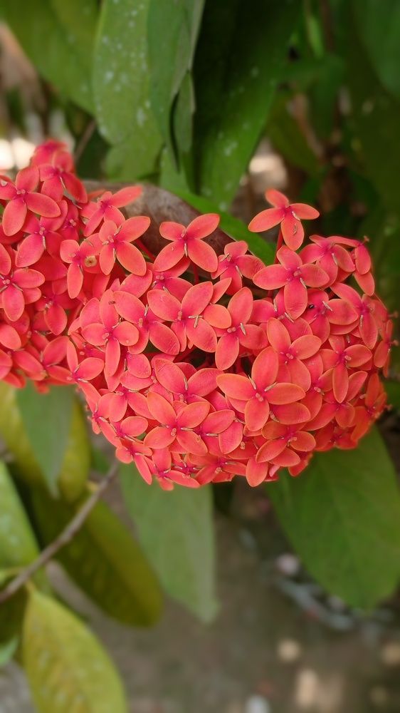 Фотография автора Pranav Chavan