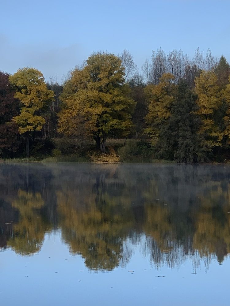 Photograph by Светлана Мельянцова