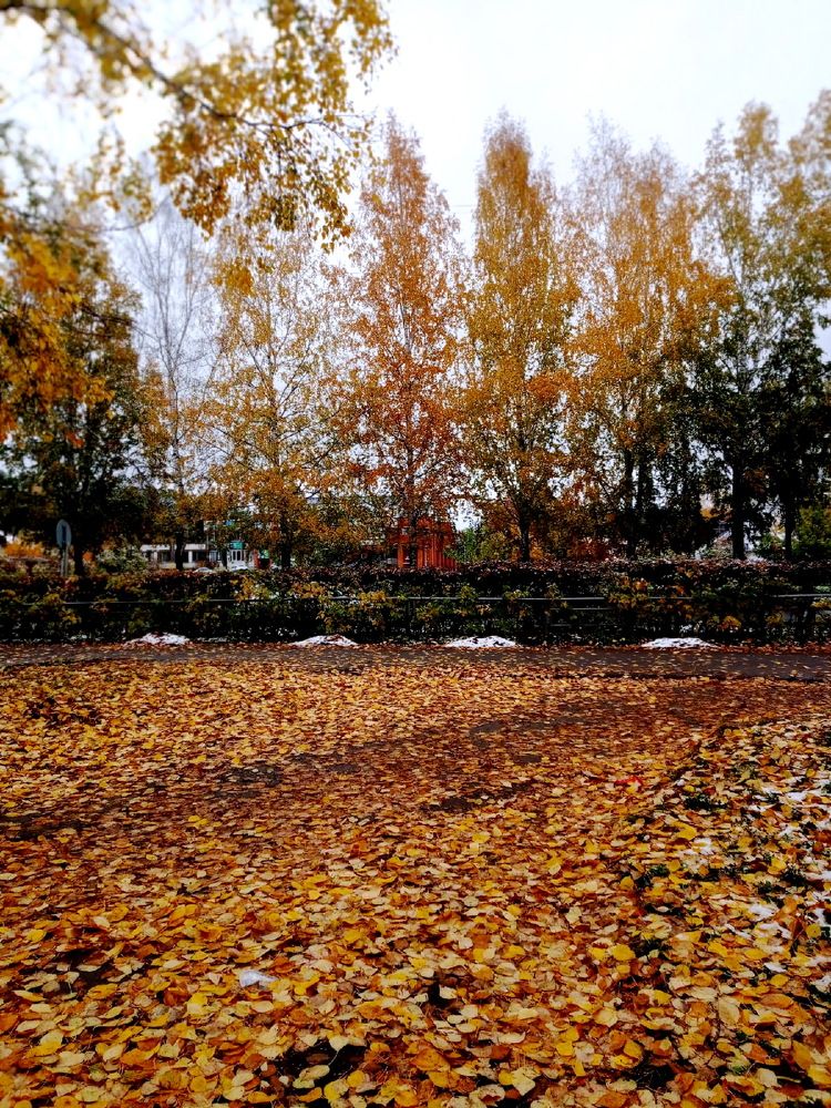 Photograph by НИНА АВЕРЬЯНОВА