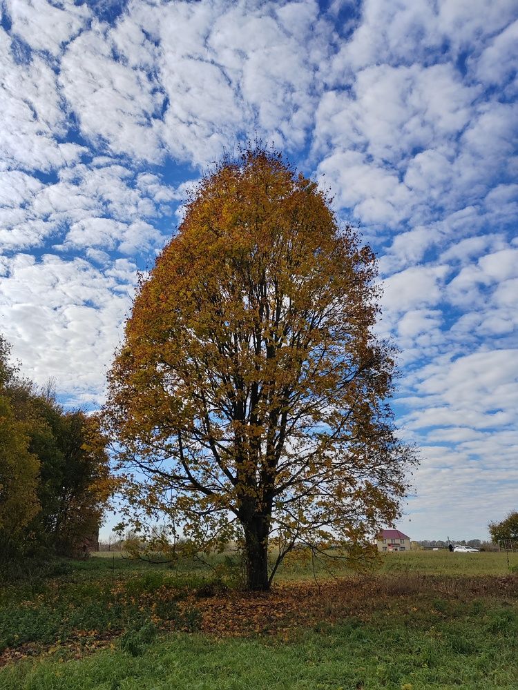 Photograph by Елена Сырцева