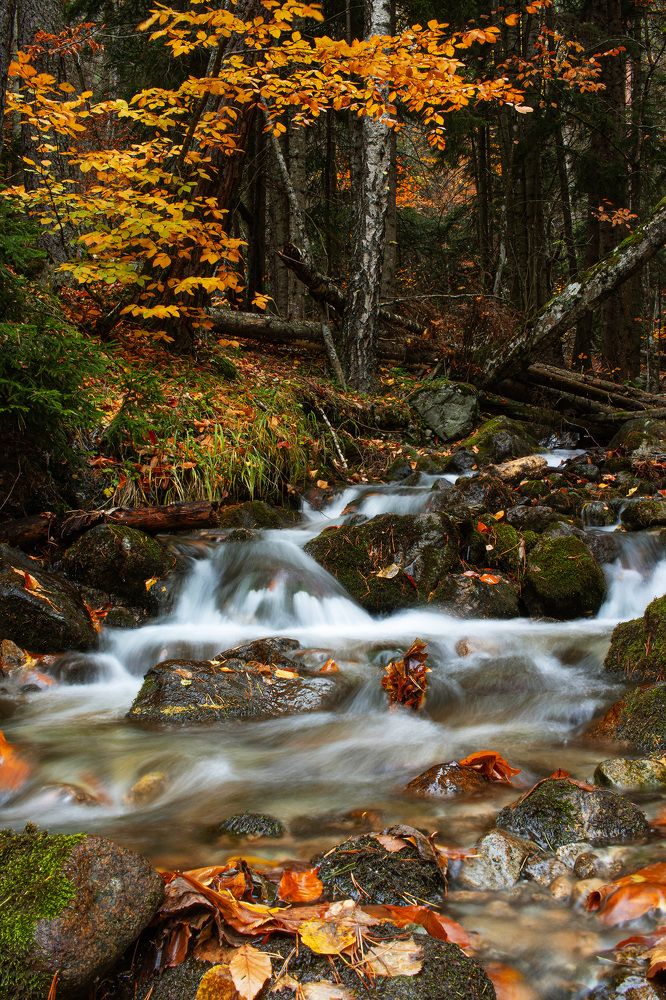 Photograph by Сергей Тельнюк