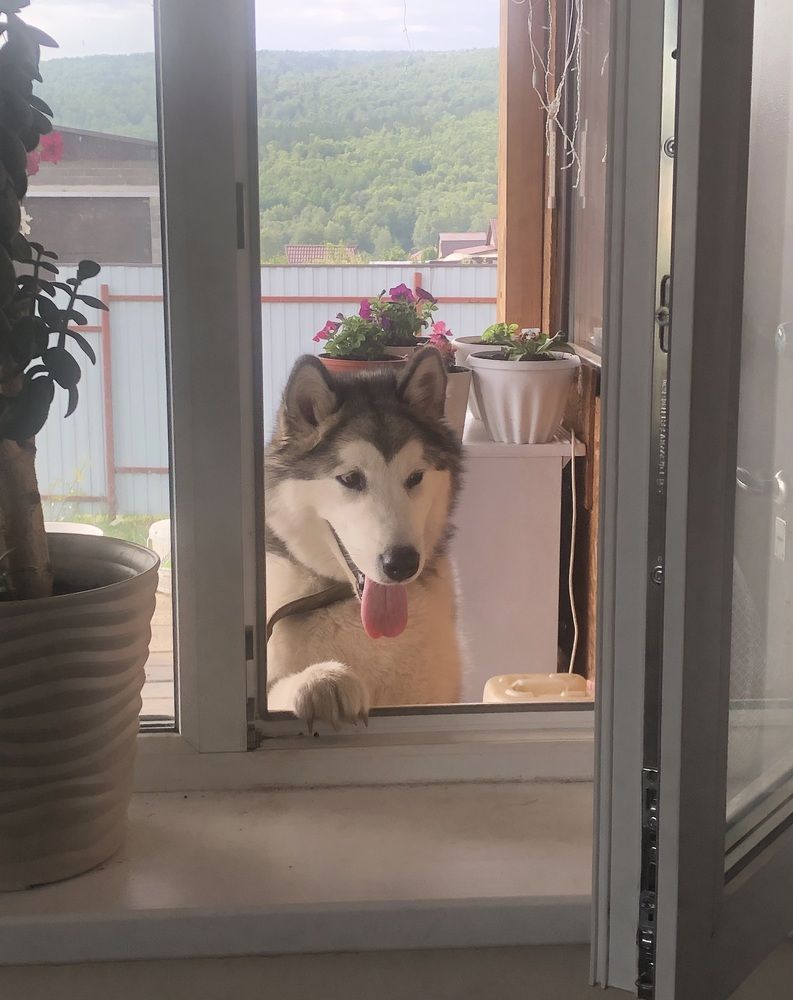 Фотография автора Светлана Гончарова