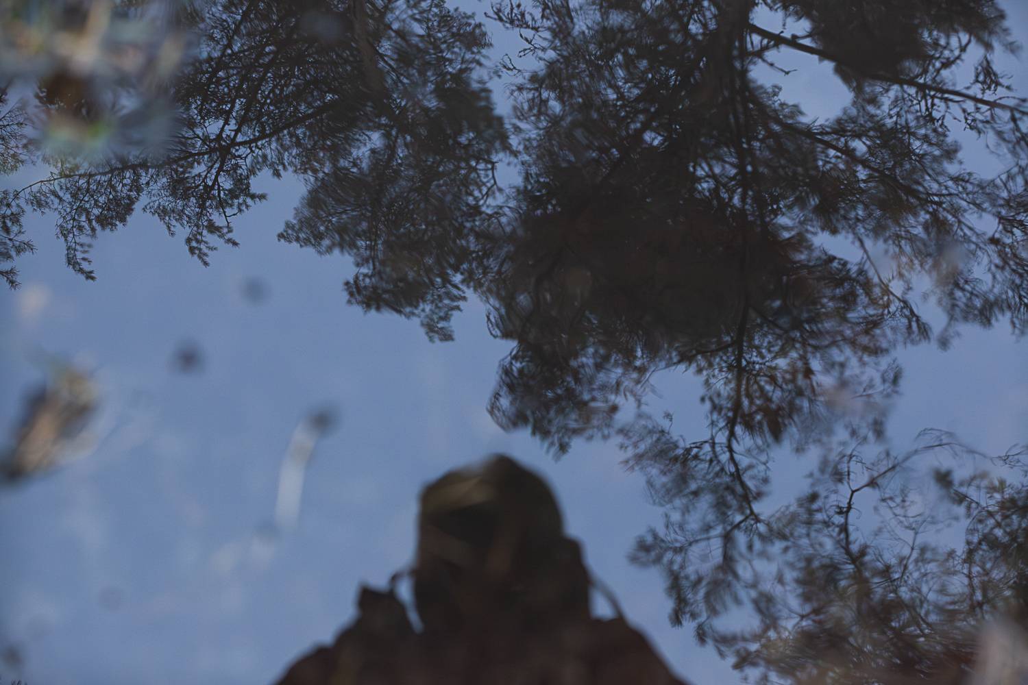 Photo #11206321