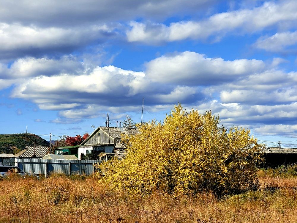 Фотография автора Казакова Людмила Ивановна