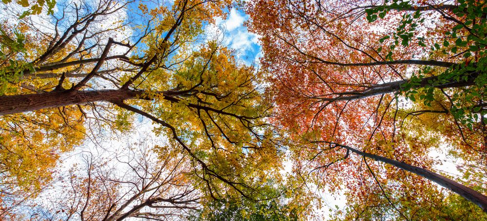 Photograph by Rawand Saeed Kakashekh