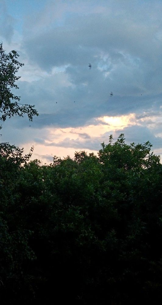 Photograph by Виктор Захаров