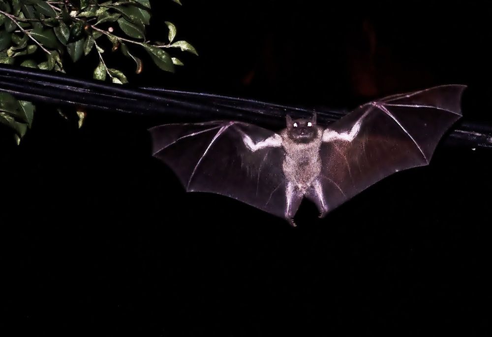 Photograph by Владислав Айзенберг