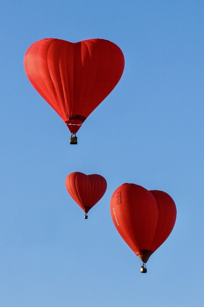 Photograph by Дулова Анастасия