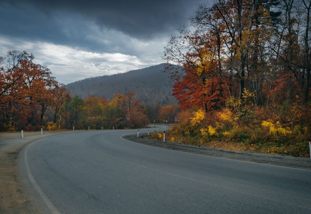 Photograph by Матвей Матвеев