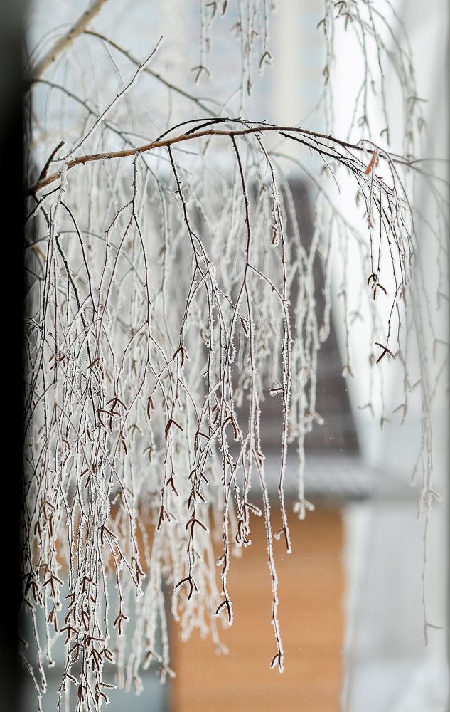 Photograph by Ирина Владова