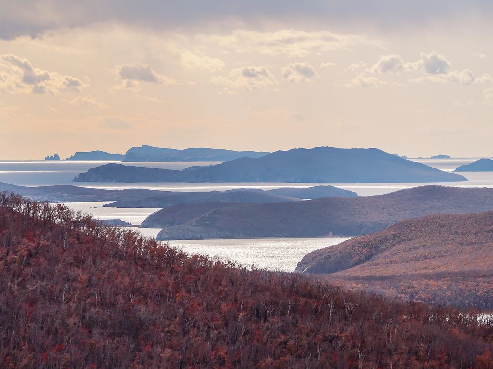 Photograph by Матвей Матвеев