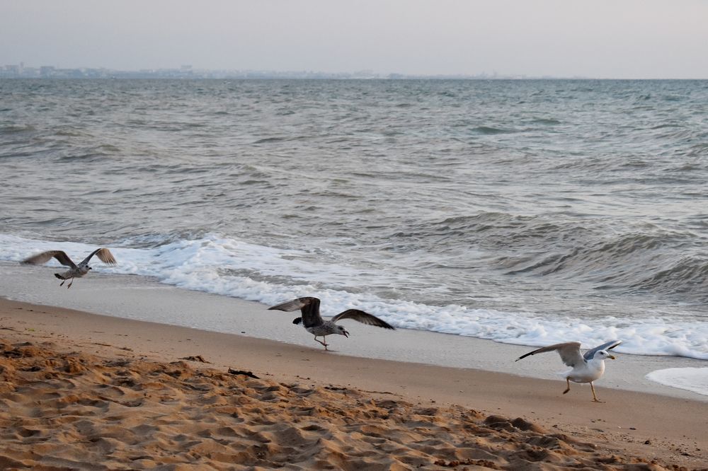 Photograph by Анна Устинова