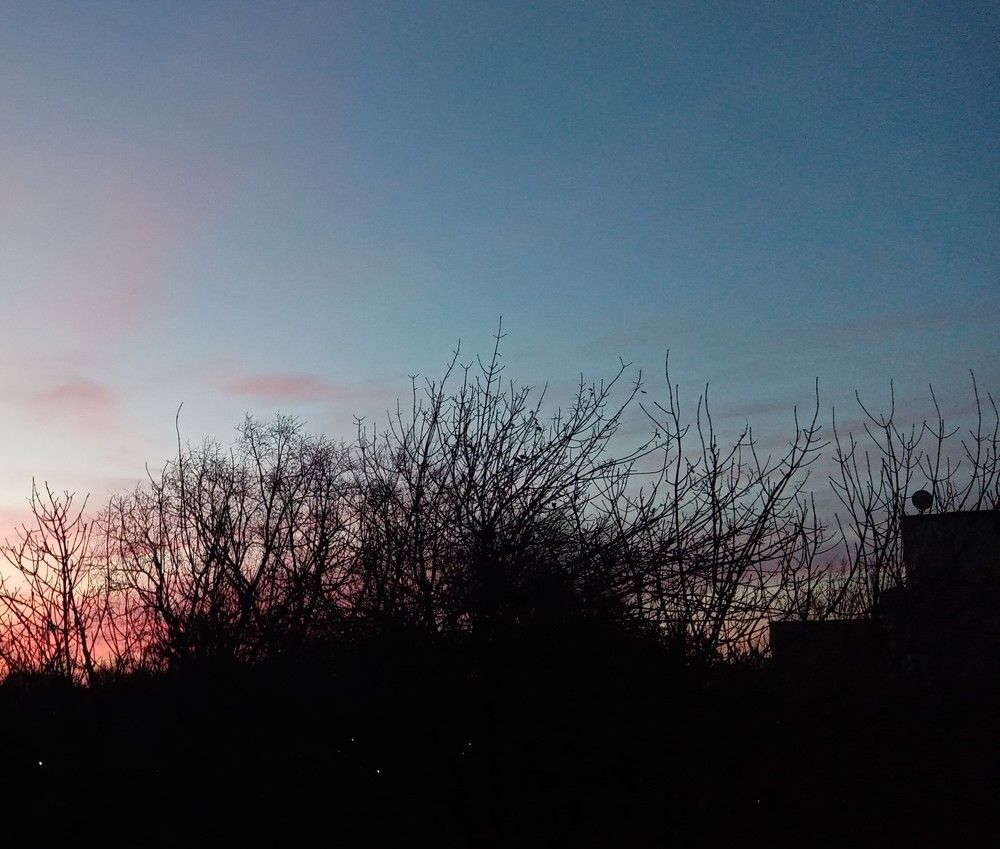 Photograph by Виктор Захаров