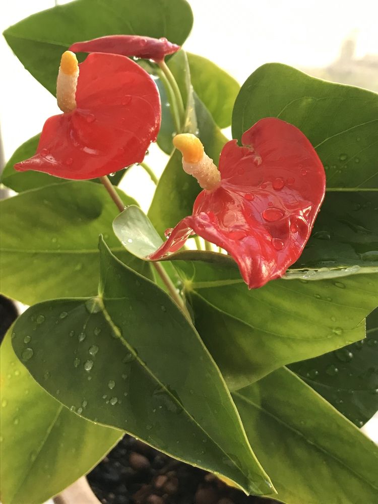 Photograph by Надежда Ткаченко