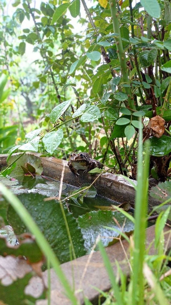 Фотография автора Pranav Chavan