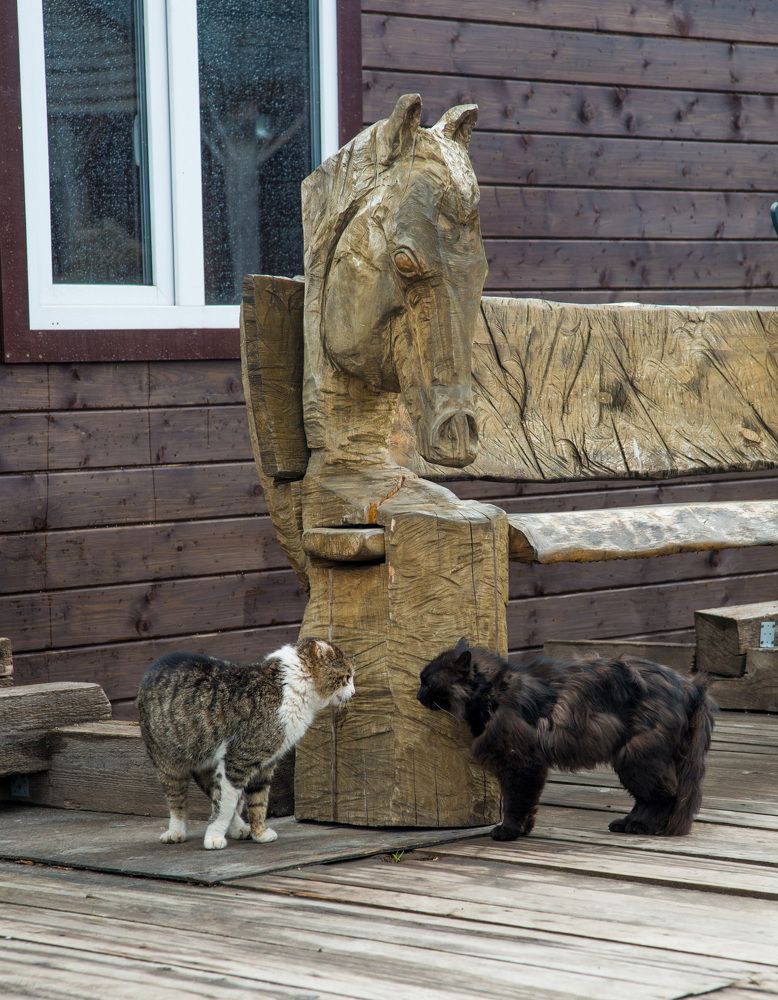 Photograph by Андрей Чуйков