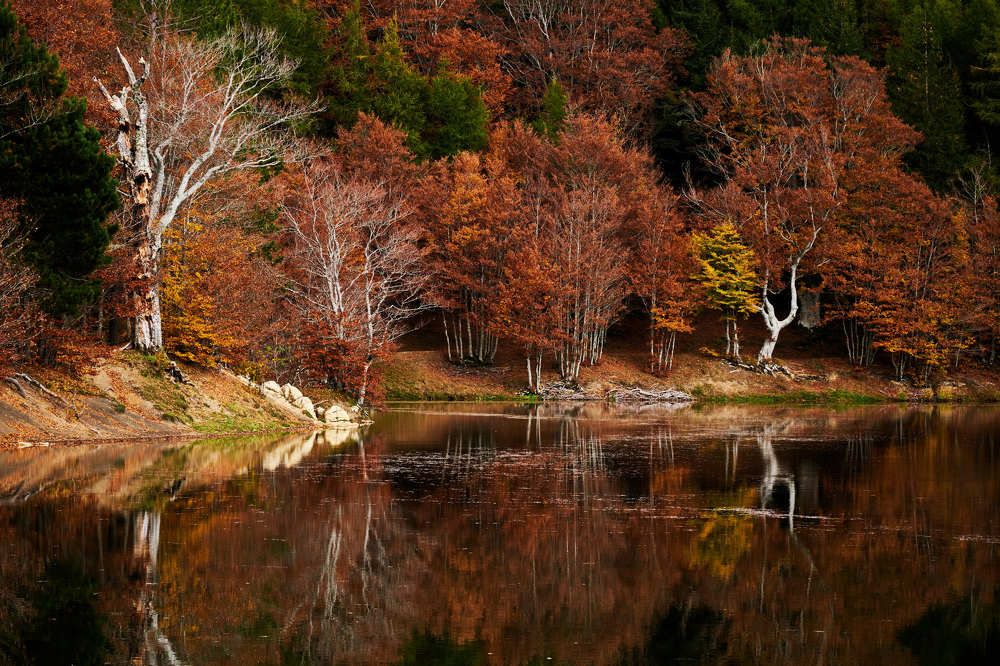 Photograph by Cristian Bertolini