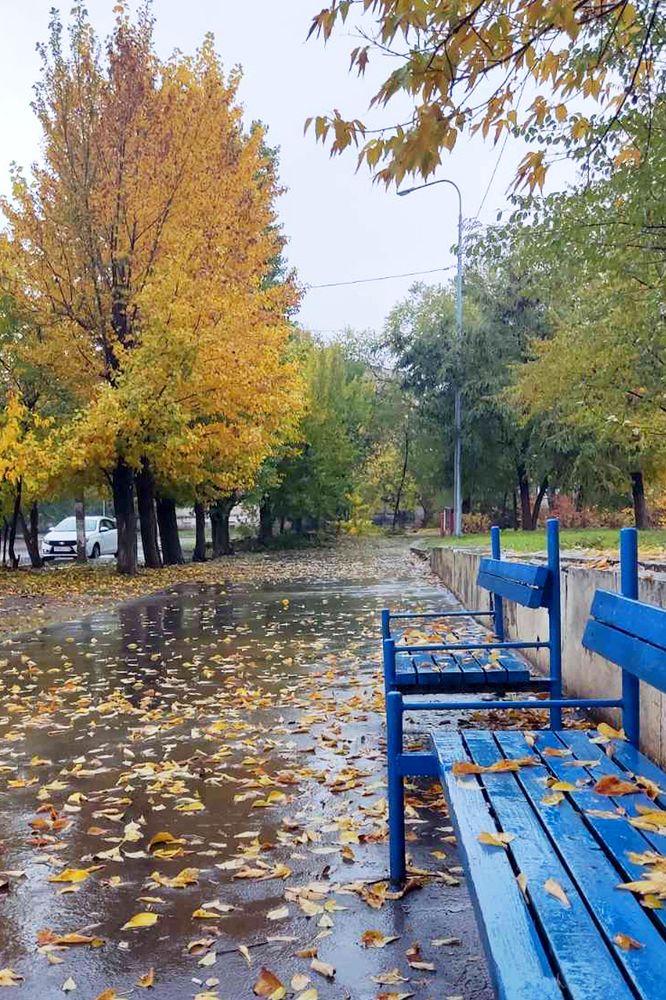 Photograph by Анна Устинова