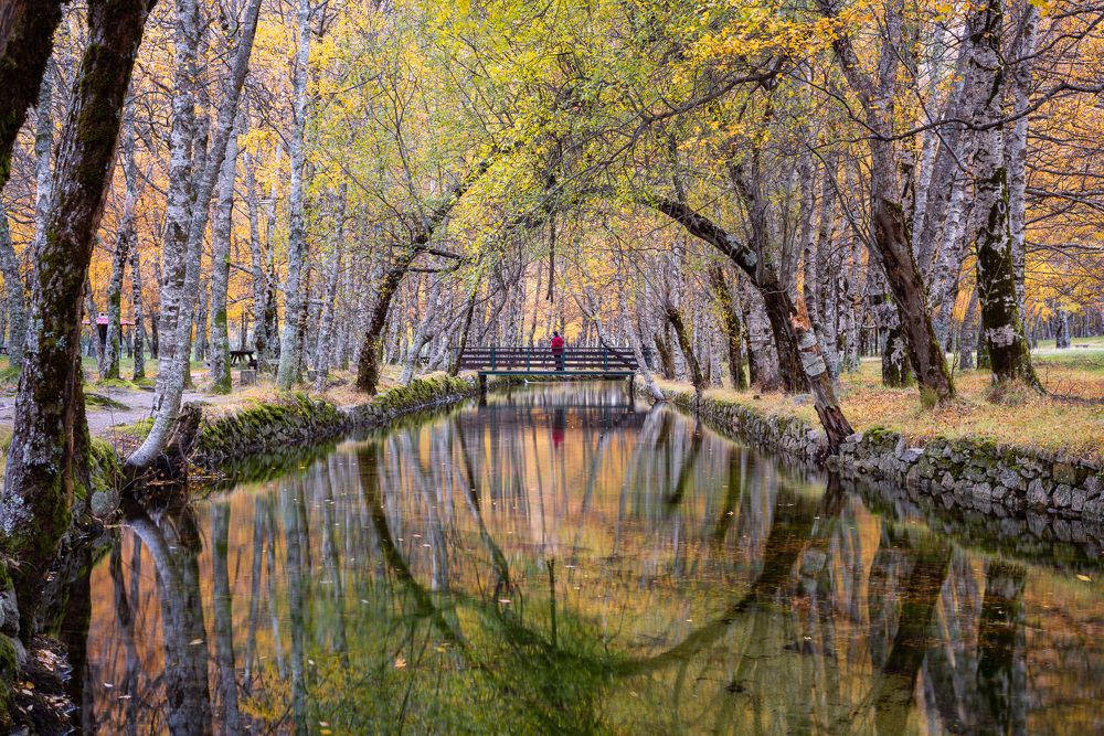 Photograph by Bruno Ribeiro