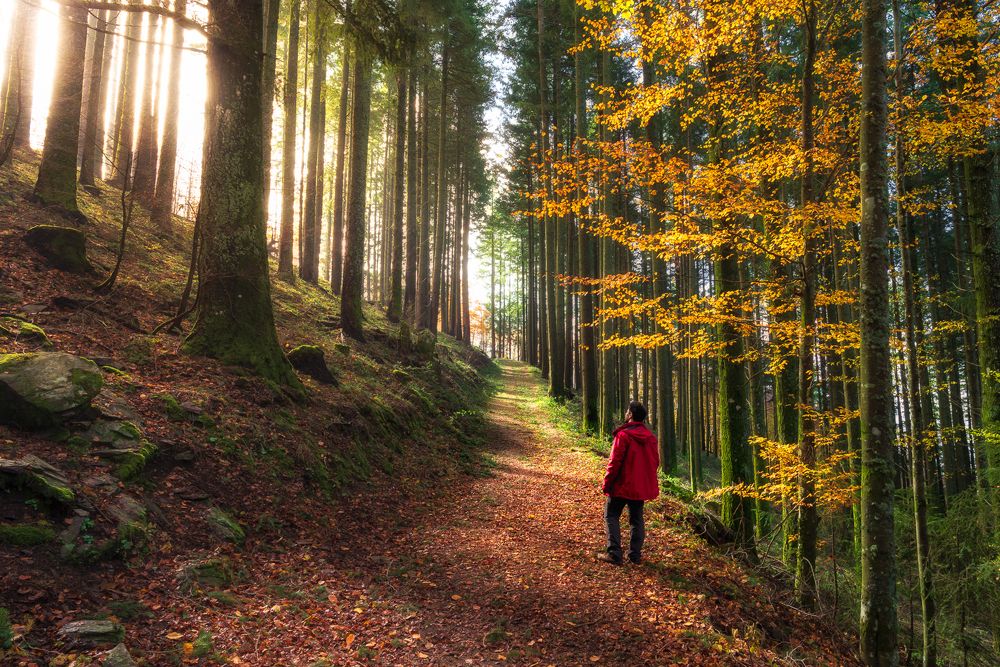 Photograph by Bruno Ribeiro