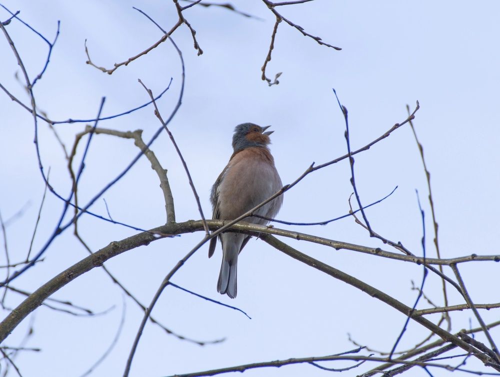 Photograph by Leanid Kulpo