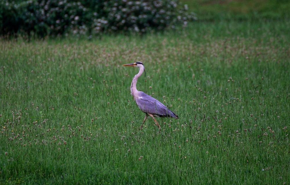 Photograph by Leanid Kulpo