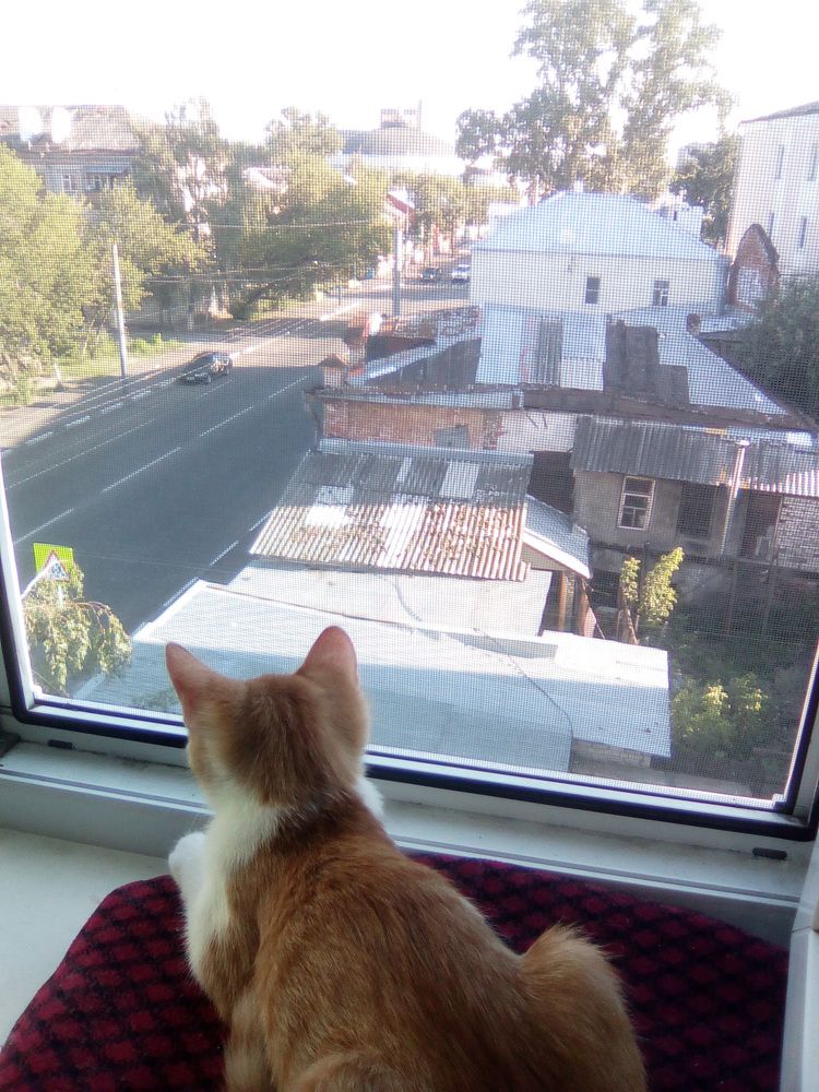 Photograph by Светлана Петрова