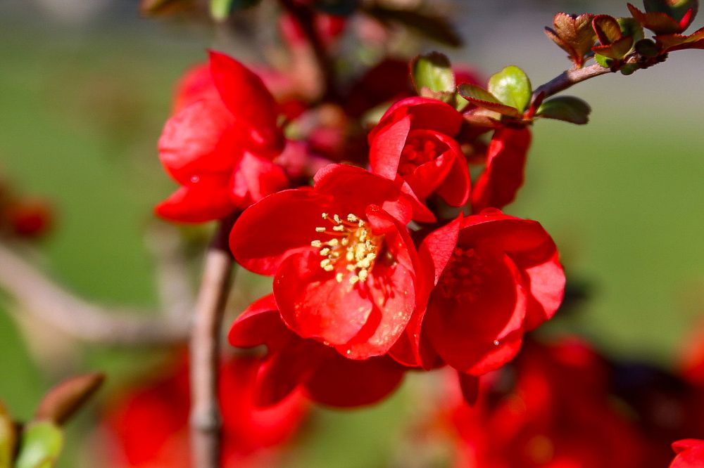 Photograph by Елена Рудкевич