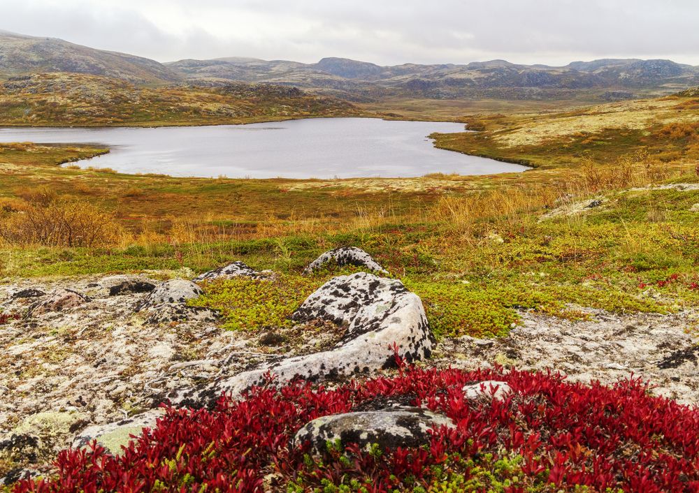 Photograph by Анна Бокова