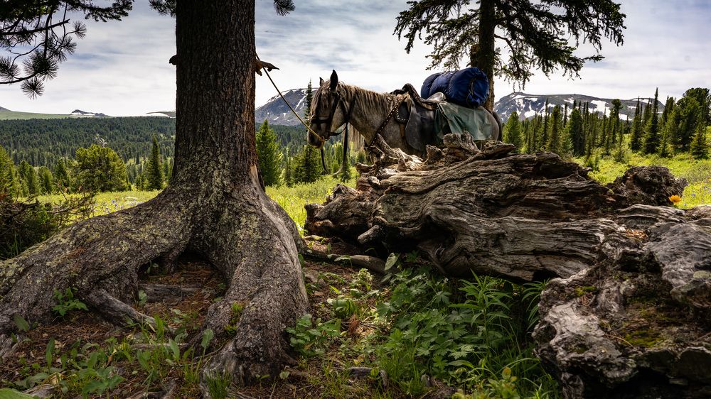 Photograph by Дмитрий Лоскутов