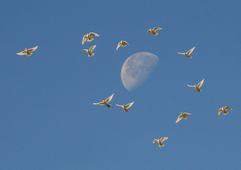 Photograph by Гаврилова Мария