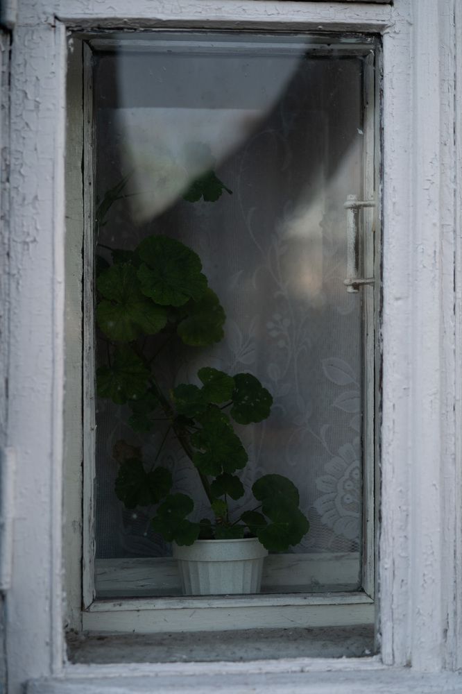 Photograph by Rice Baron