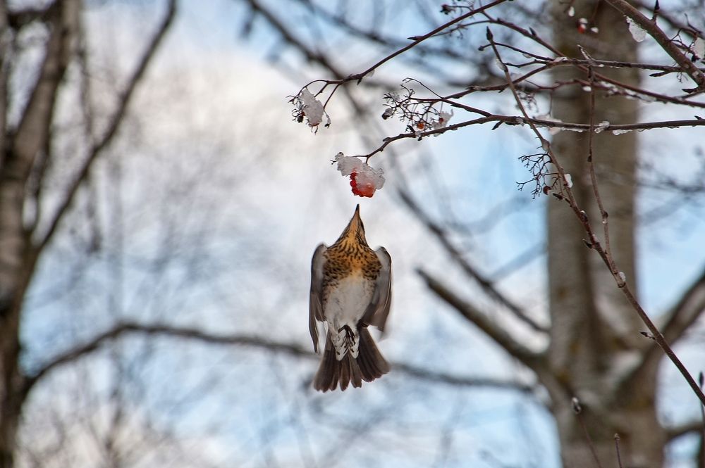 Photograph by Валерий Клейменов