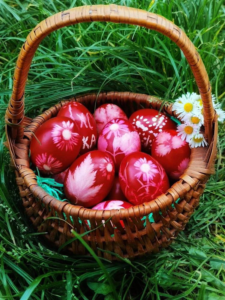 Фотография автора JELENA VASIC