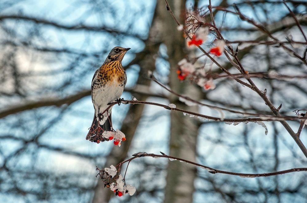 Photograph by Валерий Клейменов