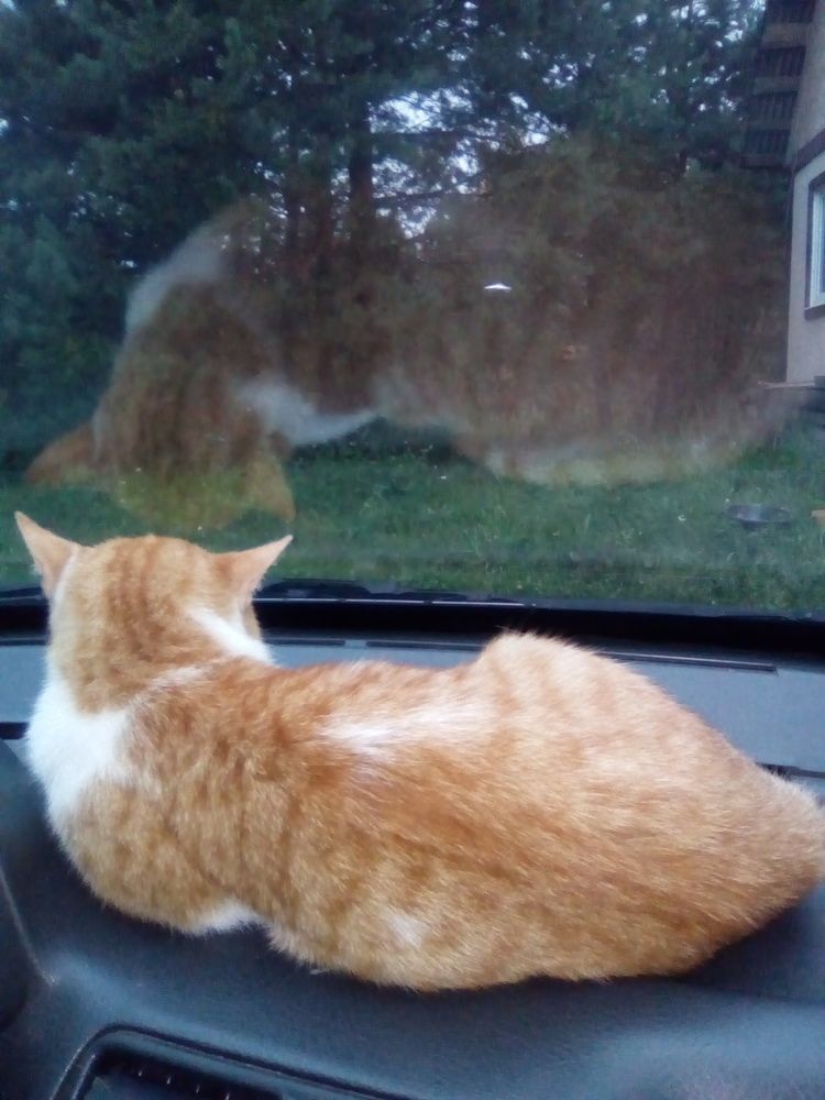 Photograph by Светлана Петрова