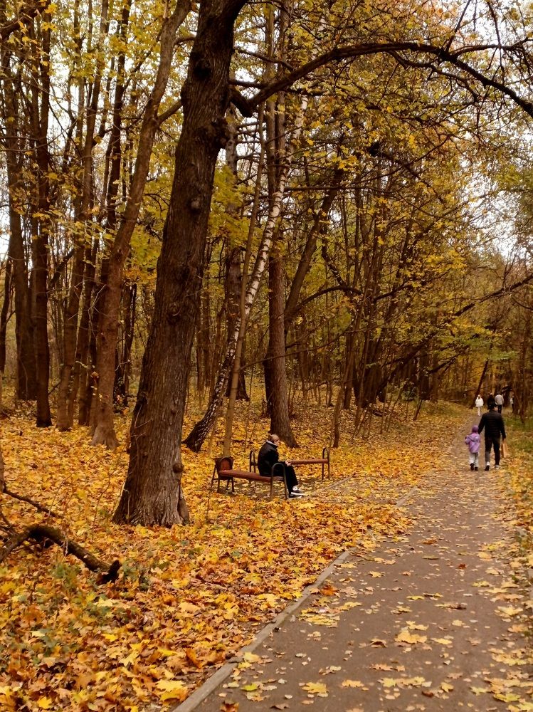 Photo #11206645