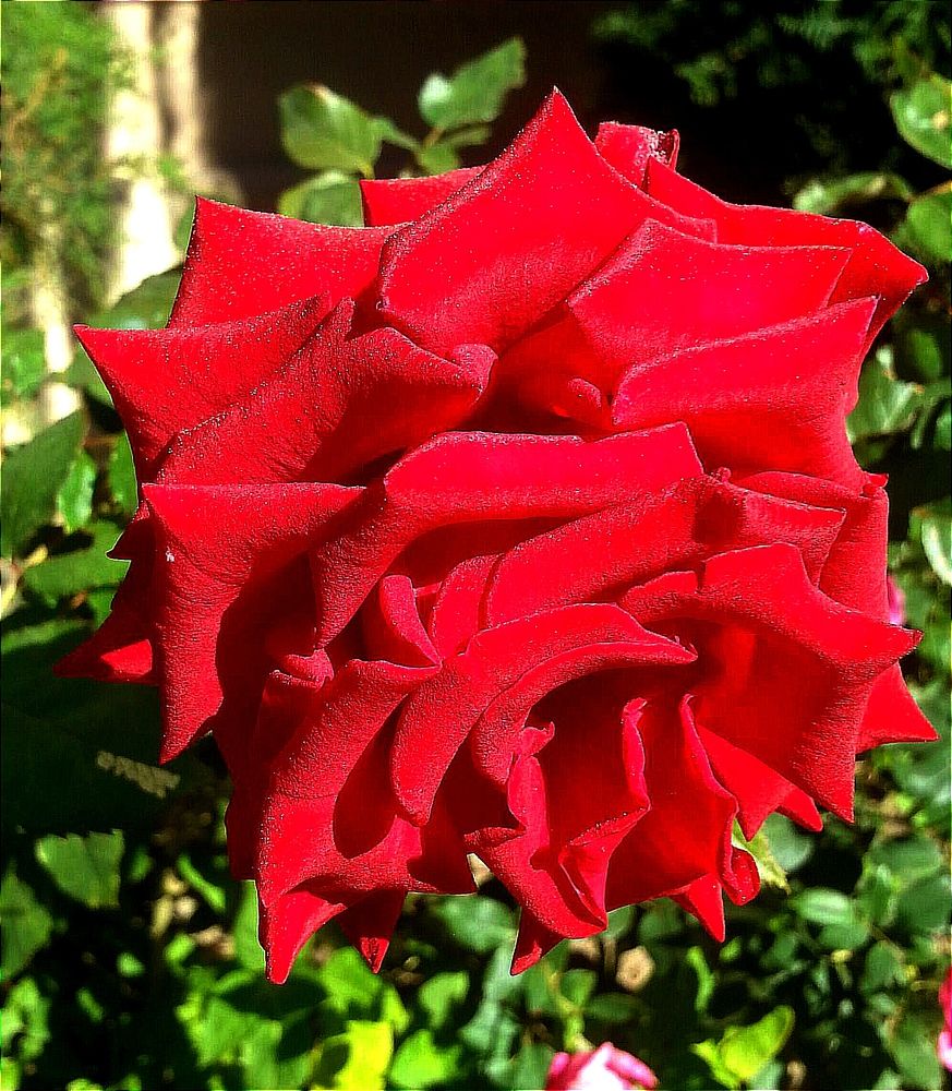 Photograph by Ольга Тихонова