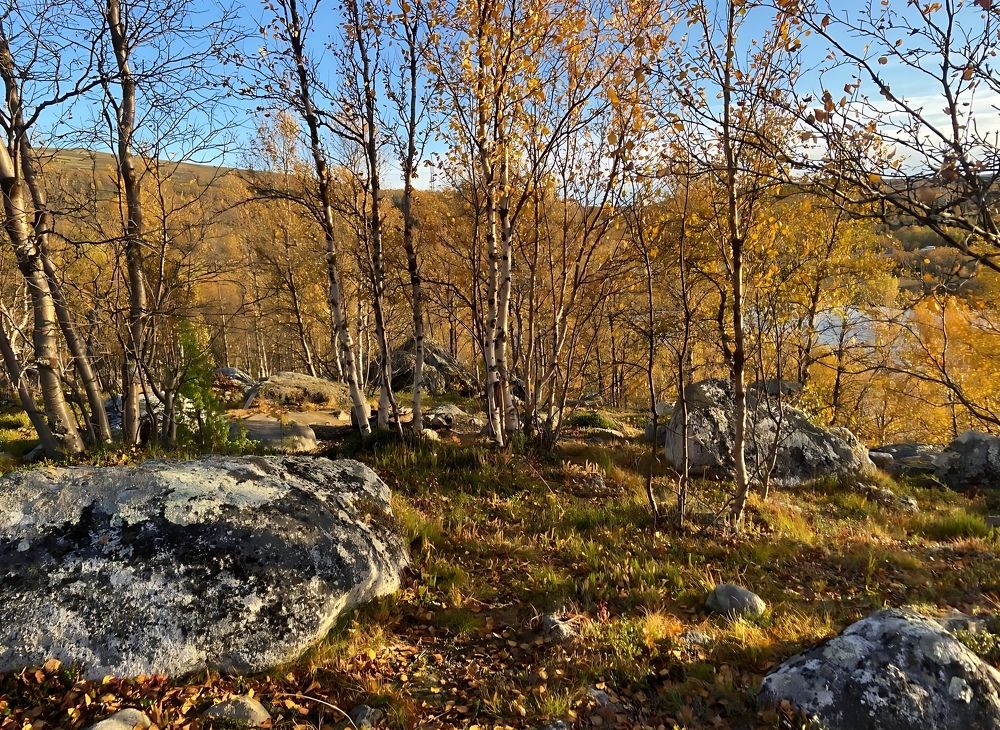 Фотография автора Татьяна Савранчук